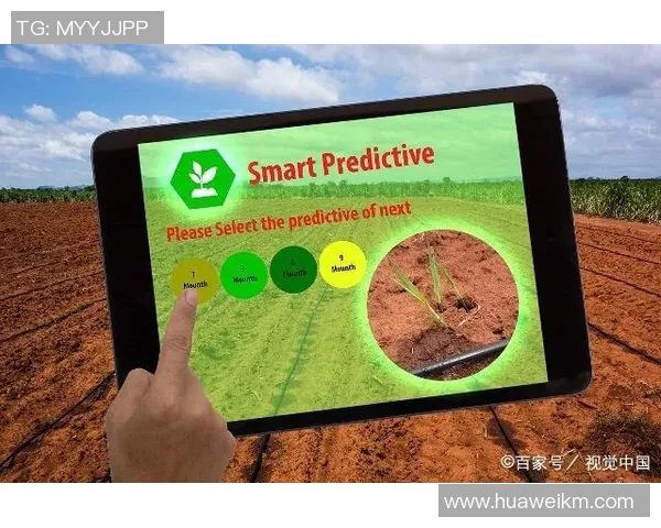 体育运动项目经营新模式探索与实践分析促进产业发展与社会参与的双赢局面