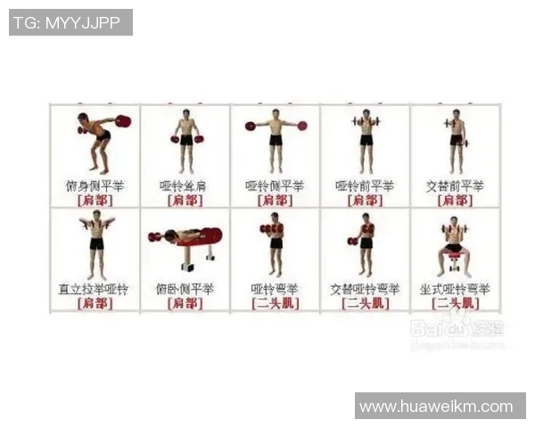 全面提升力量与耐力的哑铃健身视频教程免费下载与使用指南